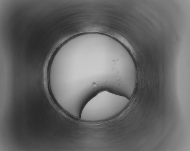 X0000102401088200808010950
