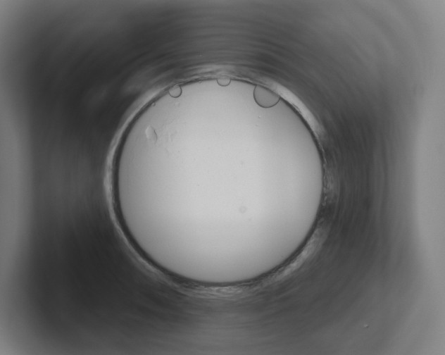 X0000102401090200808010950