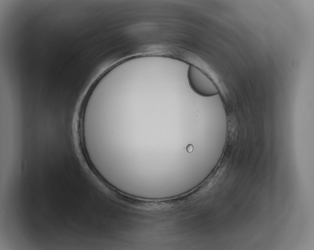 X0000102401091200808010950