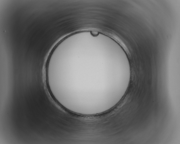 X0000102401092200808010950