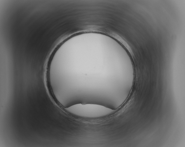 X0000102401093200808010950