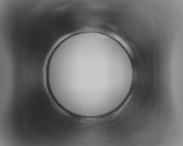 X0000102401094200808010950