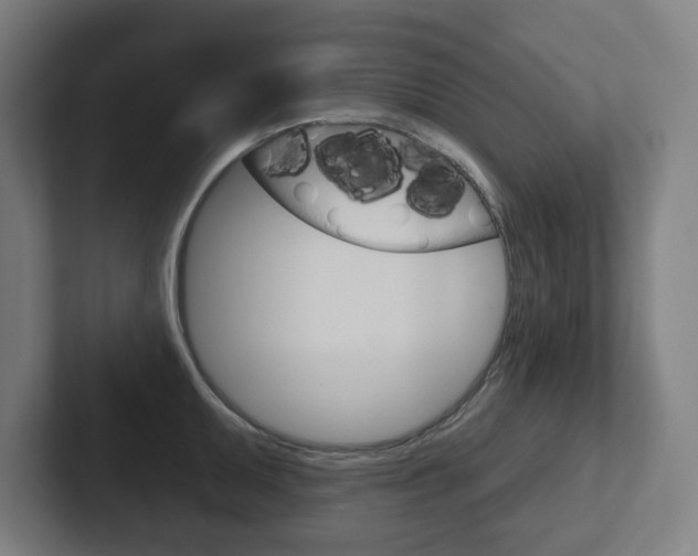 X0000102401095200808010950
