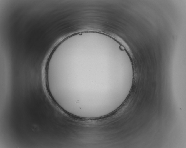 X0000102401096200808010950