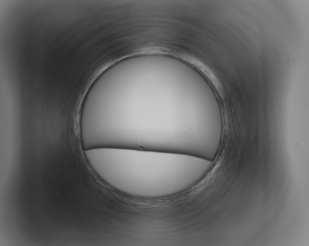 X0000102401097200808010950
