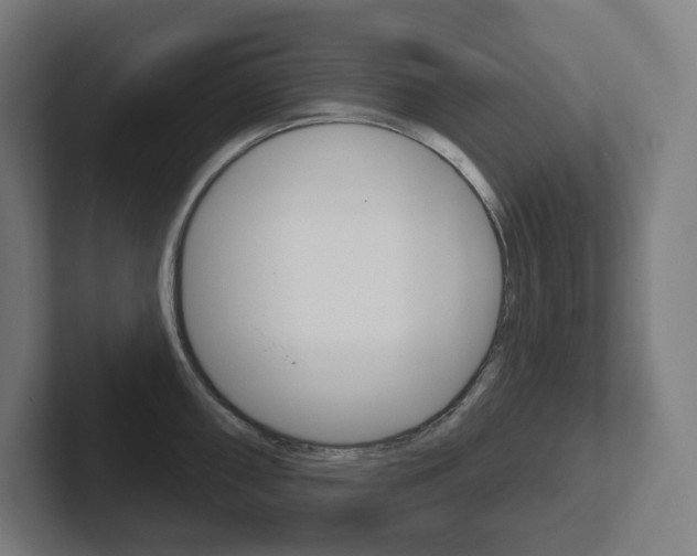X0000102401098200808010950