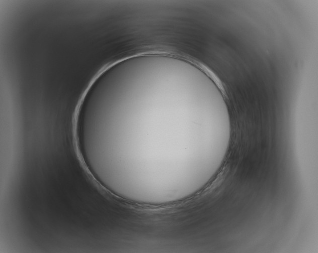 X0000102401099200808010950
