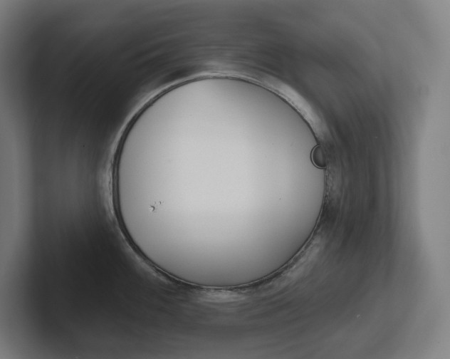 X0000102401100200808010950