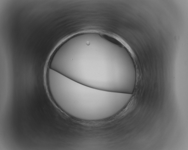X0000102401101200808010950