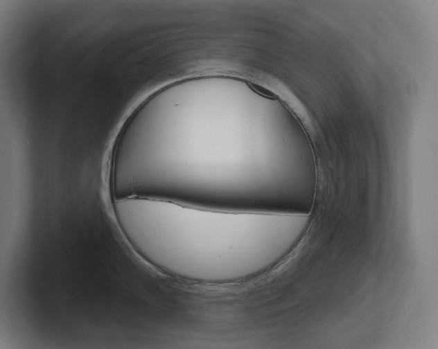 X0000102401102200808010950