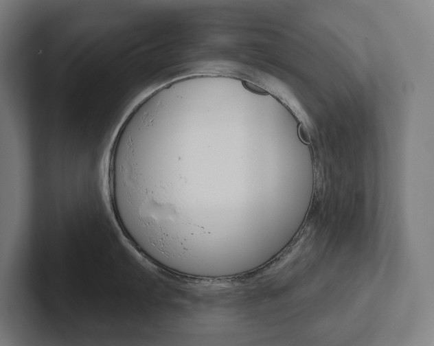 X0000102401103200808010950