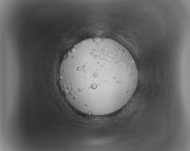 X0000102401105200808010949