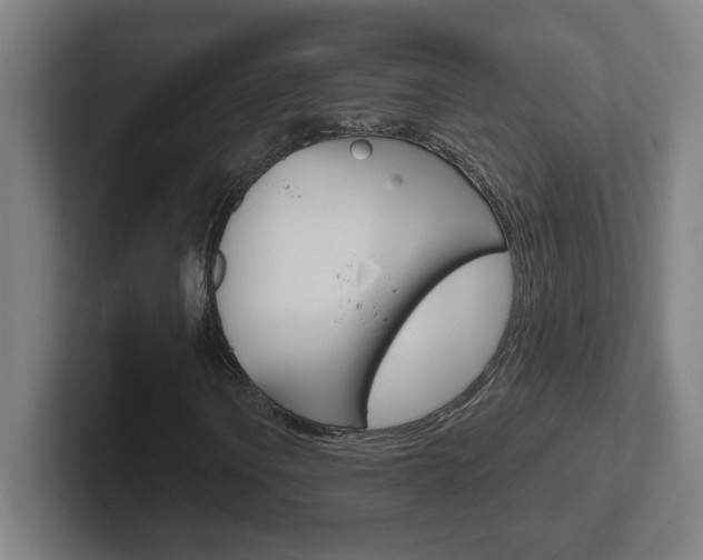 X0000102401106200808010949
