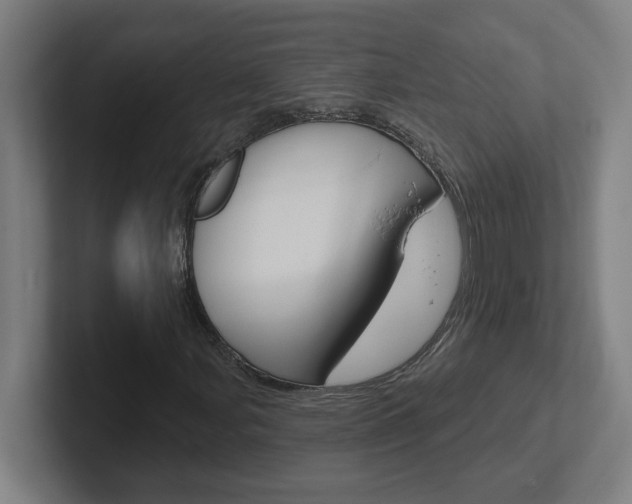 X0000102401107200808010949