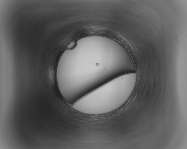 X0000102401108200808010949