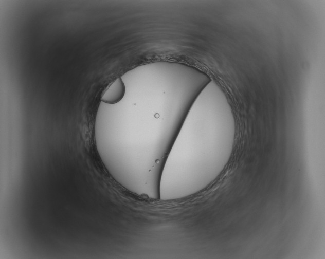 X0000102401109200808010949