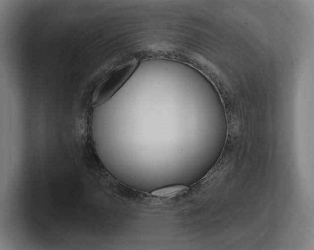 X0000102401110200808010949