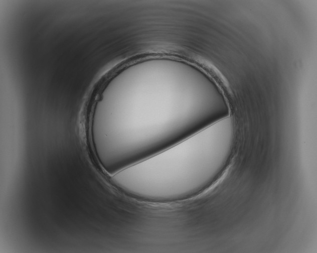 X0000102401114200808010949