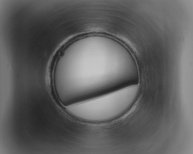 X0000102401118200808010949
