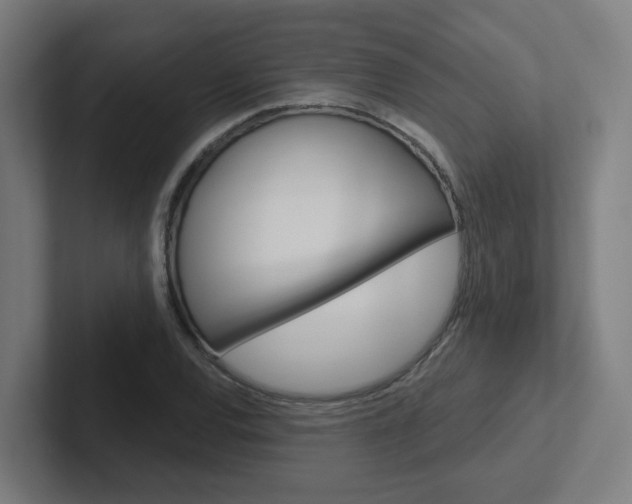 X0000102401120200808010949