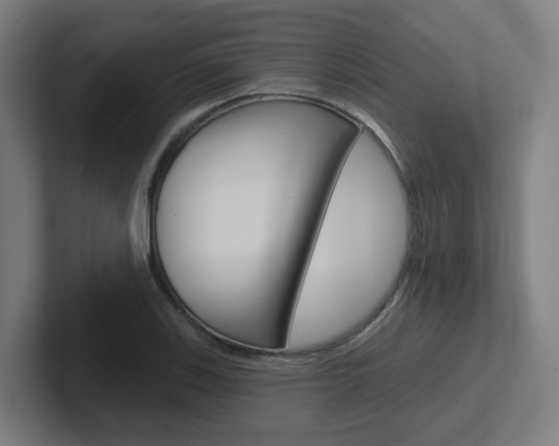 X0000102401123200808010949