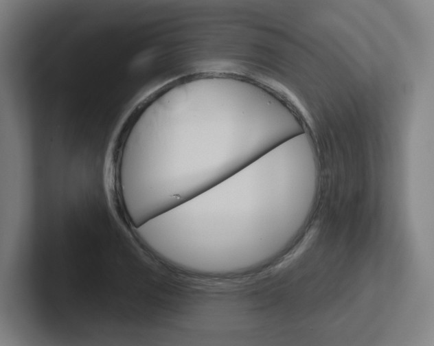 X0000102401125200808010949