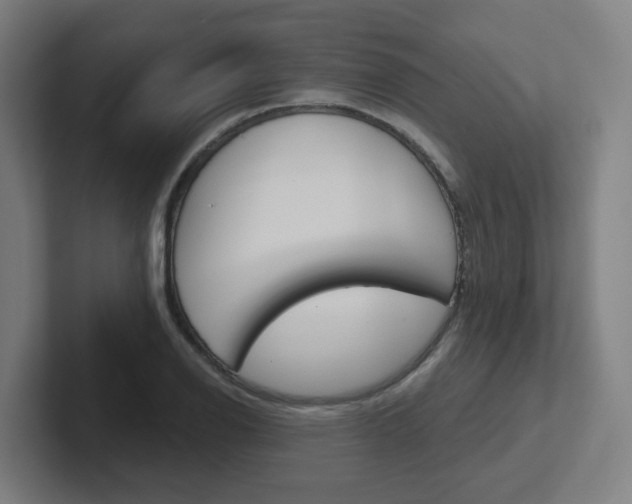 X0000102401126200808010949