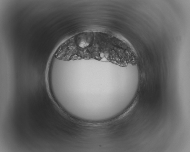 X0000102401130200808010949