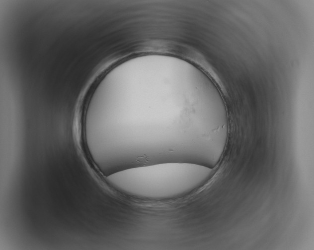X0000102401131200808010949