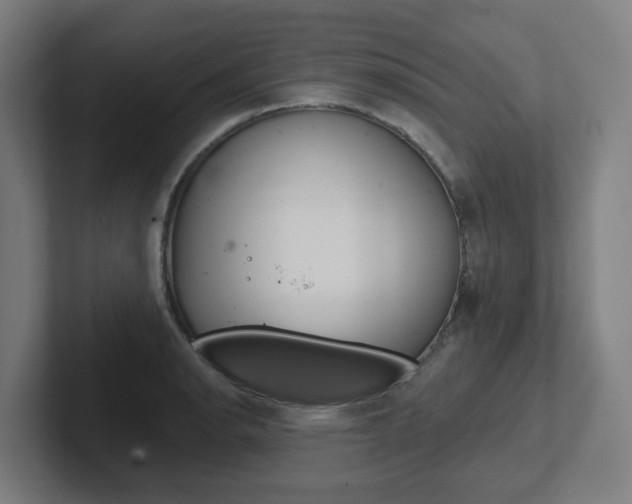 X0000102401134200808010949