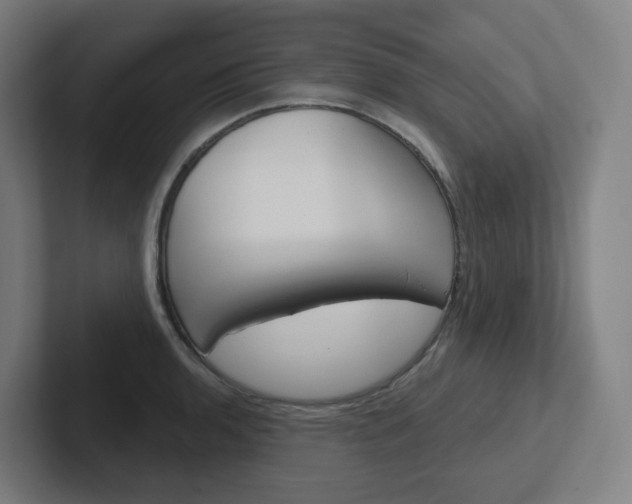 X0000102401136200808010950