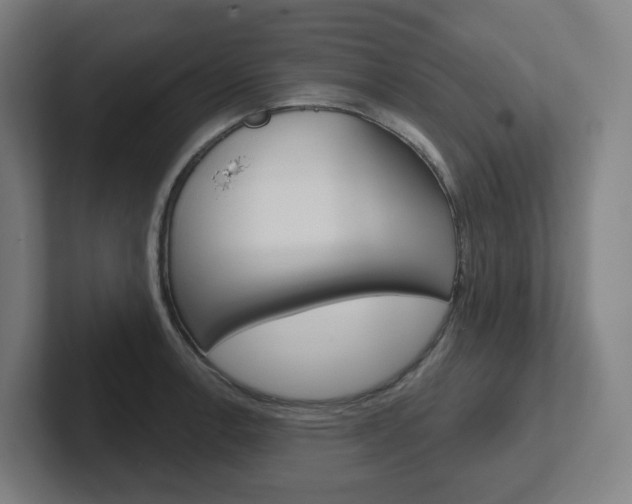 X0000102401138200808010950