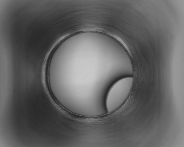 X0000102401139200808010950
