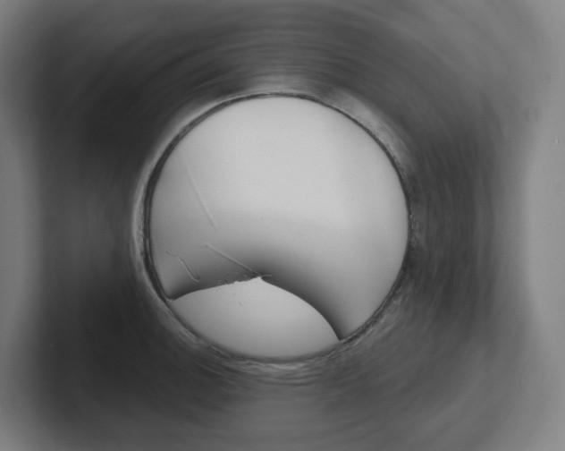 X0000102401140200808010950