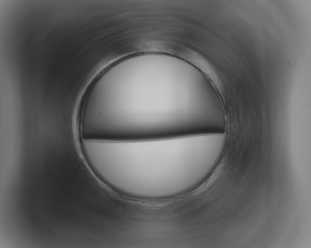 X0000102401141200808010950