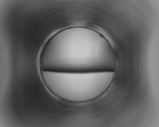 X0000102401143200808010950