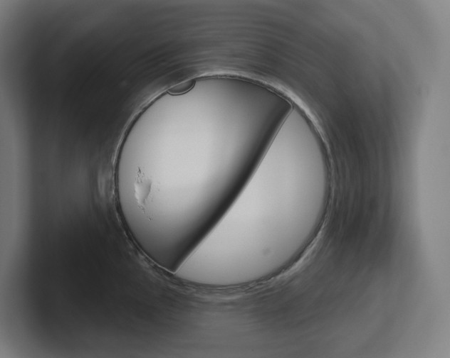 X0000102401145200808010950