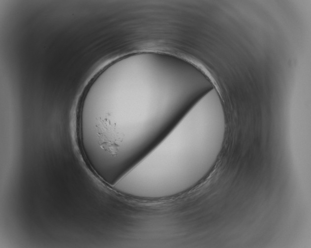 X0000102401147200808010950