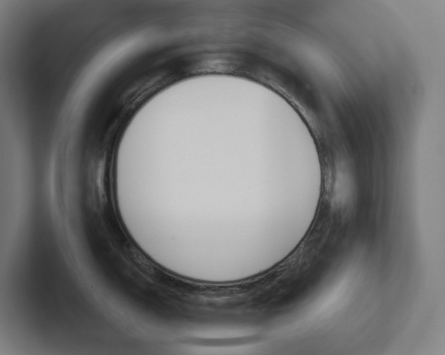X0000102401150200808010950