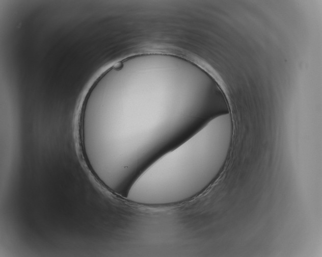 X0000102401152200808010950