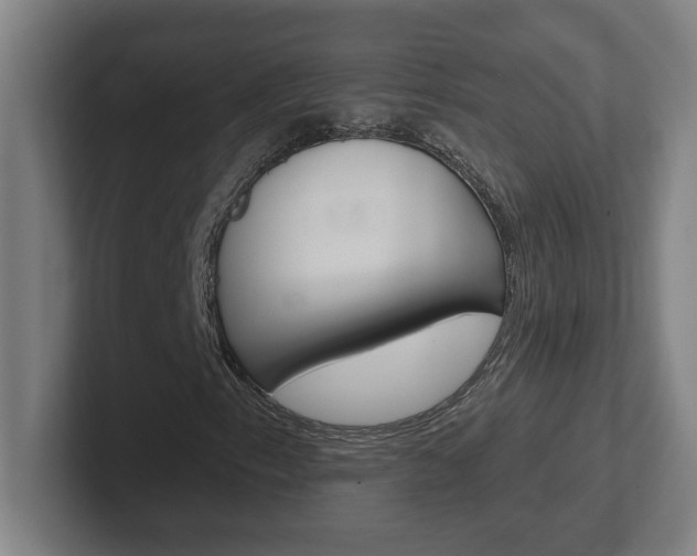 X0000102401153200808010949