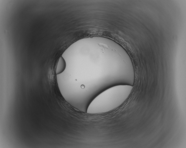 X0000102401154200808010949