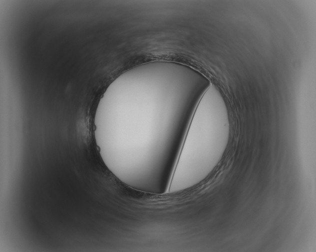 X0000102401156200808010949