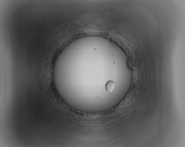 X0000102401157200808010949