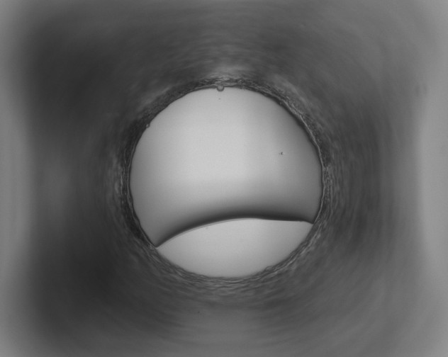 X0000102401158200808010949