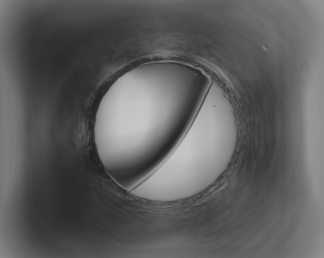 X0000102401160200808010949