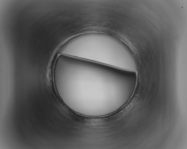 X0000102401164200808010949