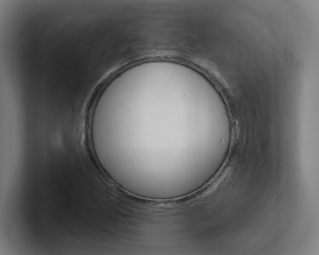 X0000102401165200808010949