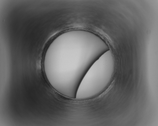X0000102401166200808010949