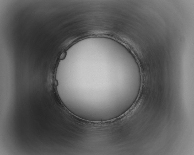 X0000102401169200808010949